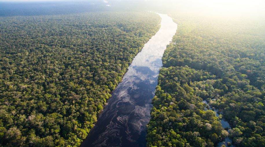 amazon river cruise